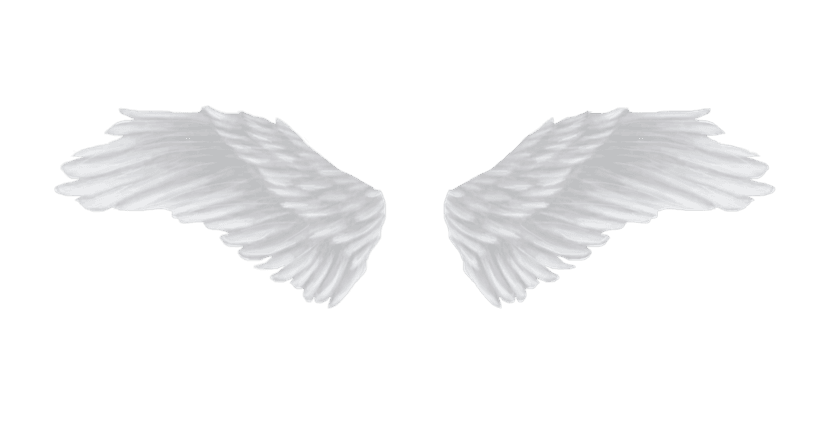 Angelic Wings